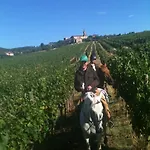 Centro Ippico Della Berardenga 카스텔누오보베라덴가