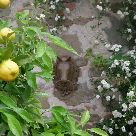 Farm stay Centro Ippico Della Berardenga