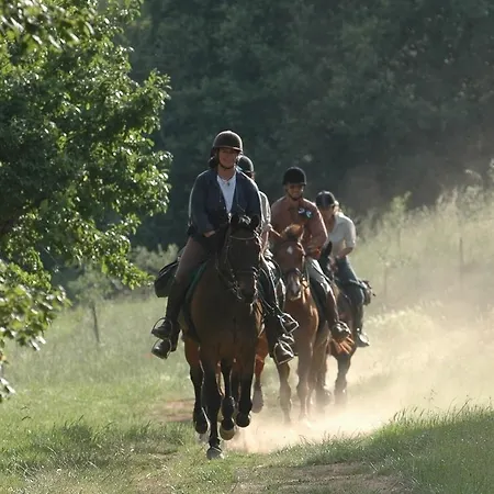 Centro Ippico Della Berardenga