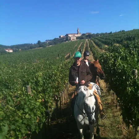 Centro Ippico Della Berardenga Castelnuovo Berardenga