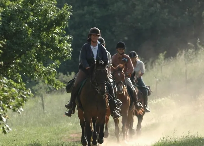 Centro Ippico Della Berardenga