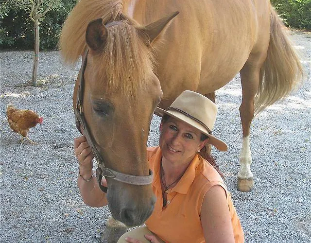 Centro Ippico Della Berardenga Castelnuovo Berardenga