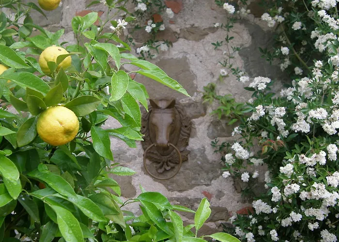 Farm stay Centro Ippico Della Berardenga