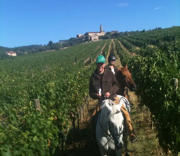 Centro Ippico Della Berardenga Castelnuovo Berardenga